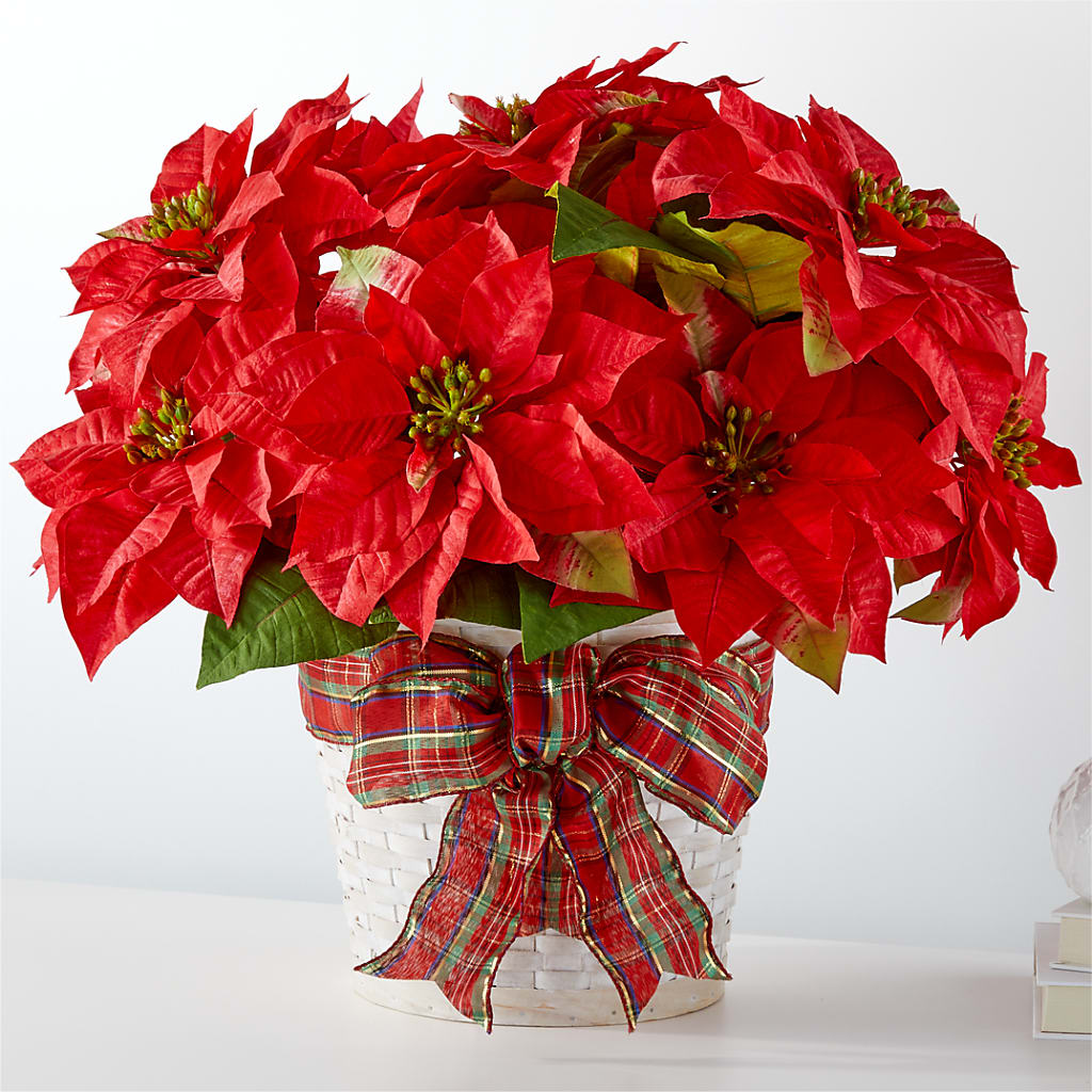Happiest Holidays Poinsettia – Temptation Flower Shop, Wichita KS