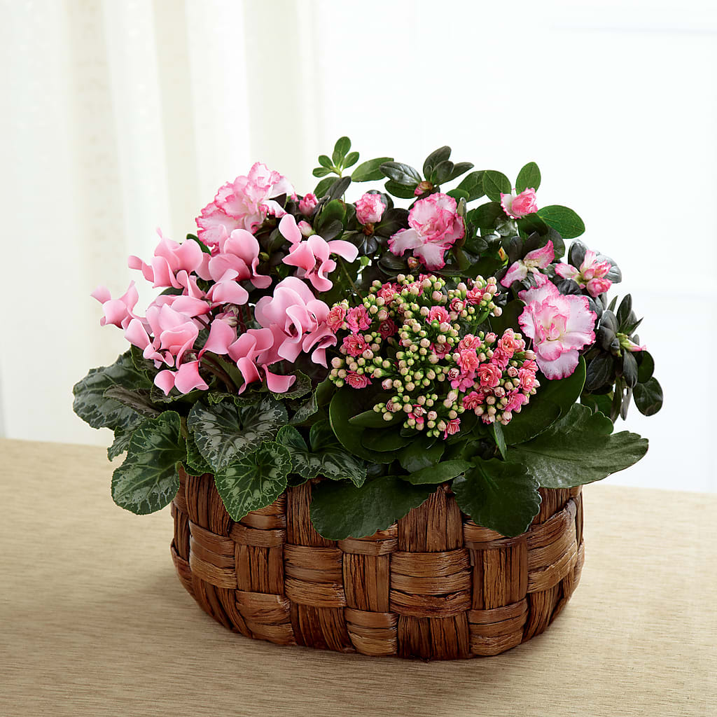 Pink Assortment – Temptation Flower Shop, Wichita KS