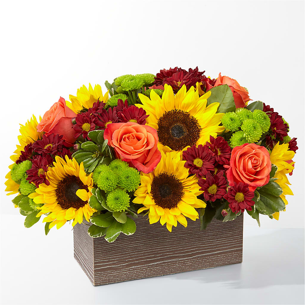 Happy Harvest Garden – Temptation Flower Shop, Wichita KS