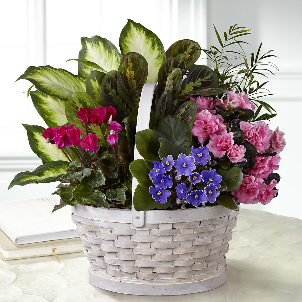 Peaceful Garden Planter – Temptation Flower Shop, Wichita KS