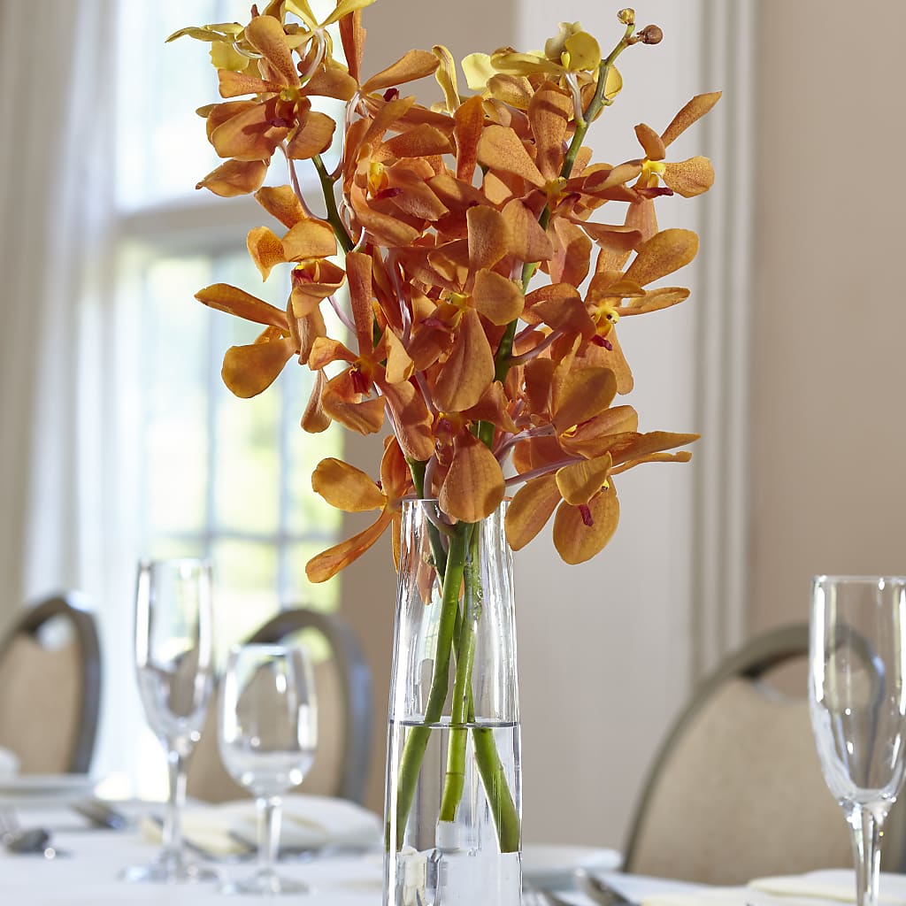 Orange Mokara Bud Vase – Temptation Flower Shop, Wichita KS