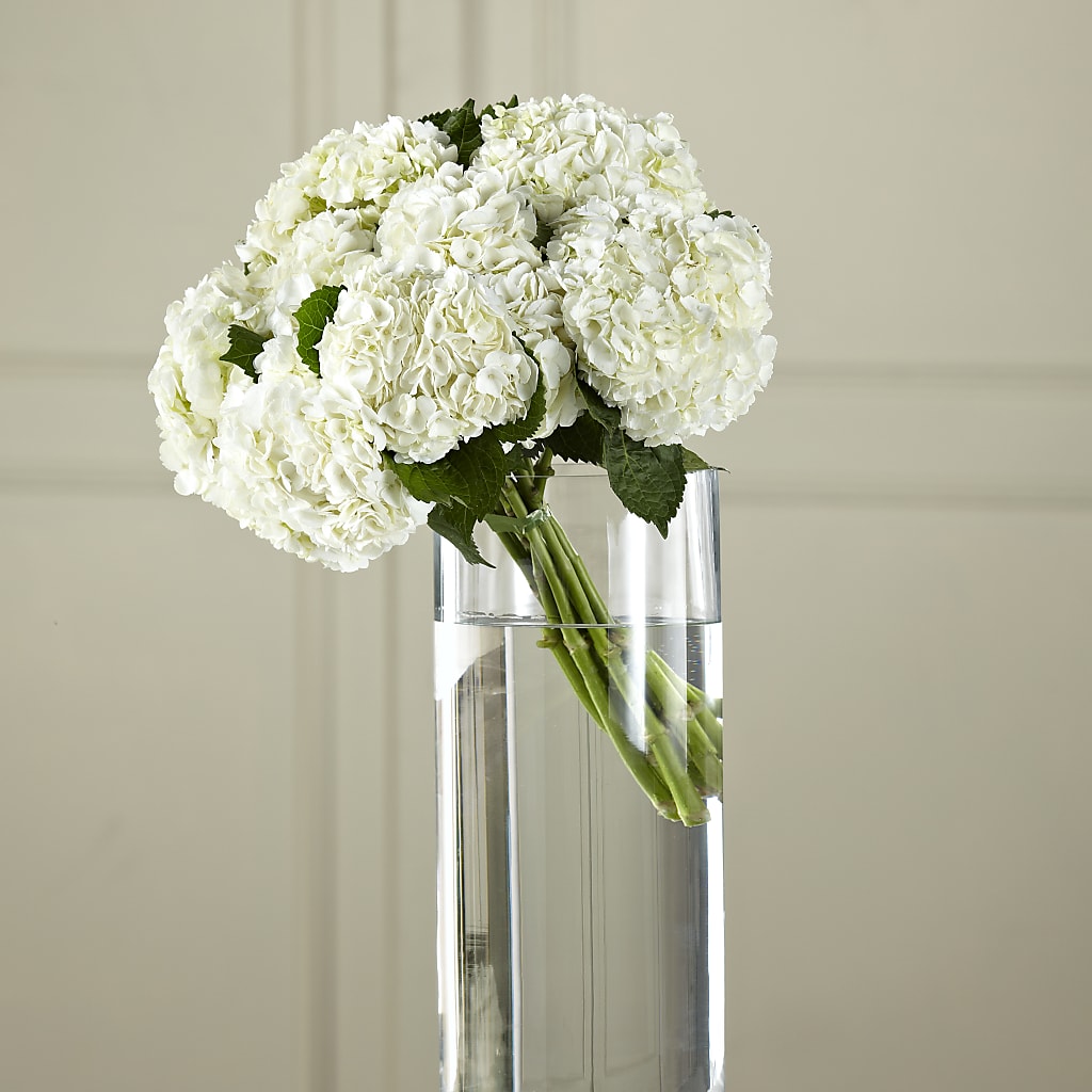 White Hydrangea Hand-Tied Bouquet – Temptation Flower Shop, Wichita KS