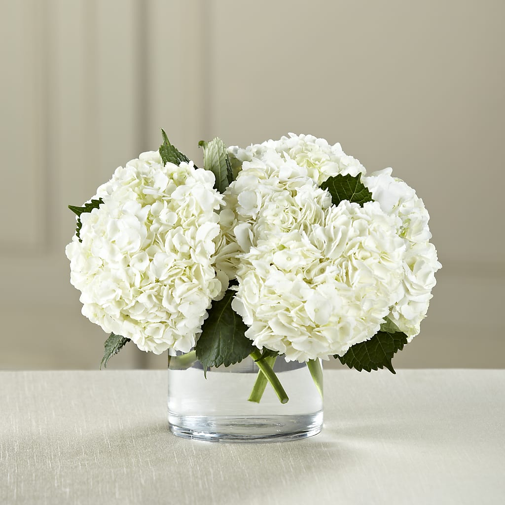 White Hydrangea Bouquet – Temptation Flower Shop, Wichita KS