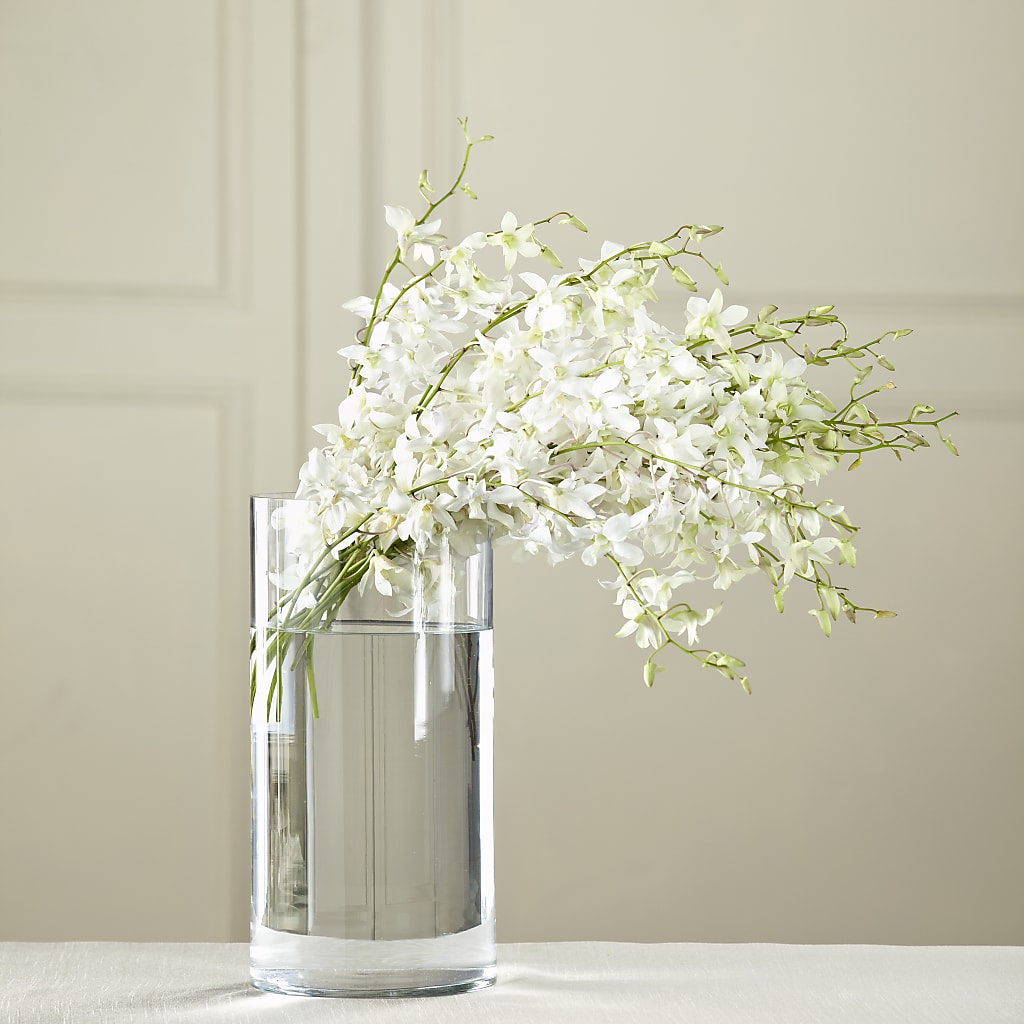 White Dendrobium Bouquet – Temptation Flower Shop, Wichita KS