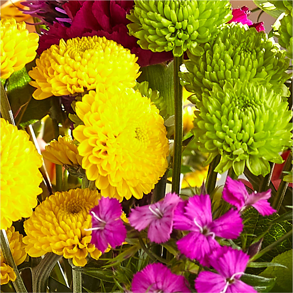 Bold & Bright – A Florist Original –  Temptation Flower Shop, Wichita KS