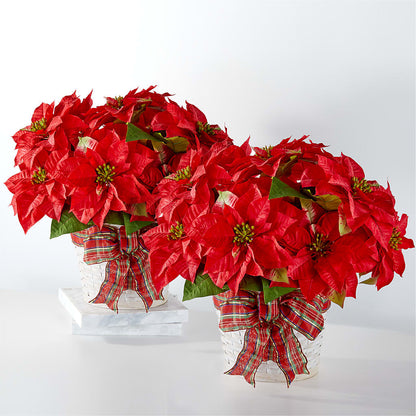 Happiest Holidays Poinsettia Bundle –  Temptation Flower Shop, Wichita KS