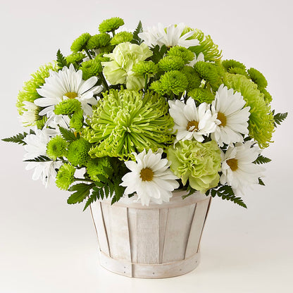 Lucky Charm Basket (Standard) –  Temptation Flower Shop, Wichita KS