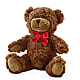 Adorable Plush Bear –  Temptation Flower Shop, Wichita KS