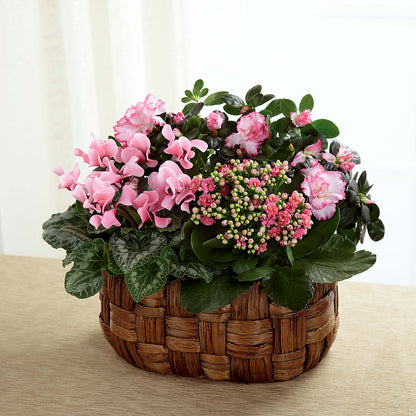 Pink Assortment –  Temptation Flower Shop, Wichita KS