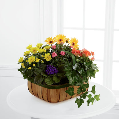 Gentle Blossoms Basket –  Temptation Flower Shop, Wichita KS