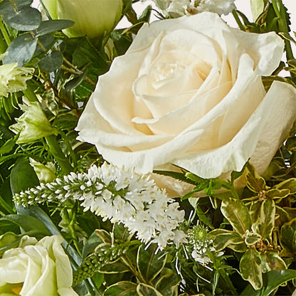 Cashmere Bouquet –  Temptation Flower Shop, Wichita KS