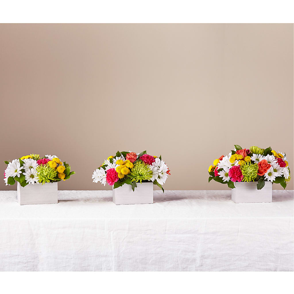 Sorbet Bouquet –  Temptation Flower Shop, Wichita KS