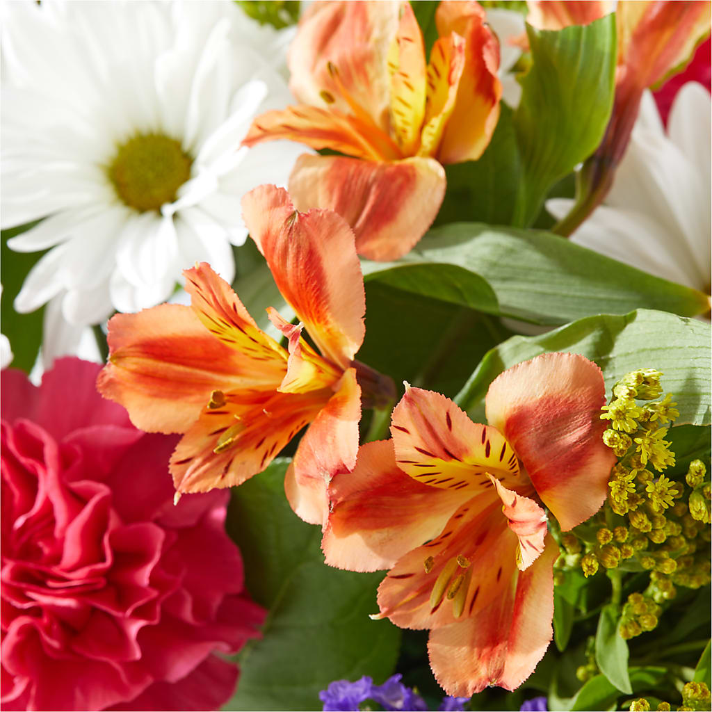 Oopsie Daisy Box Bouquet –  Temptation Flower Shop, Wichita KS