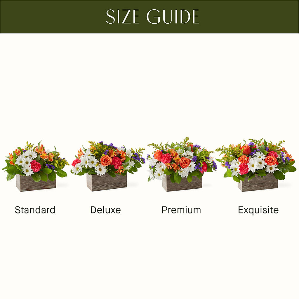 Oopsie Daisy Box Bouquet –  Temptation Flower Shop, Wichita KS