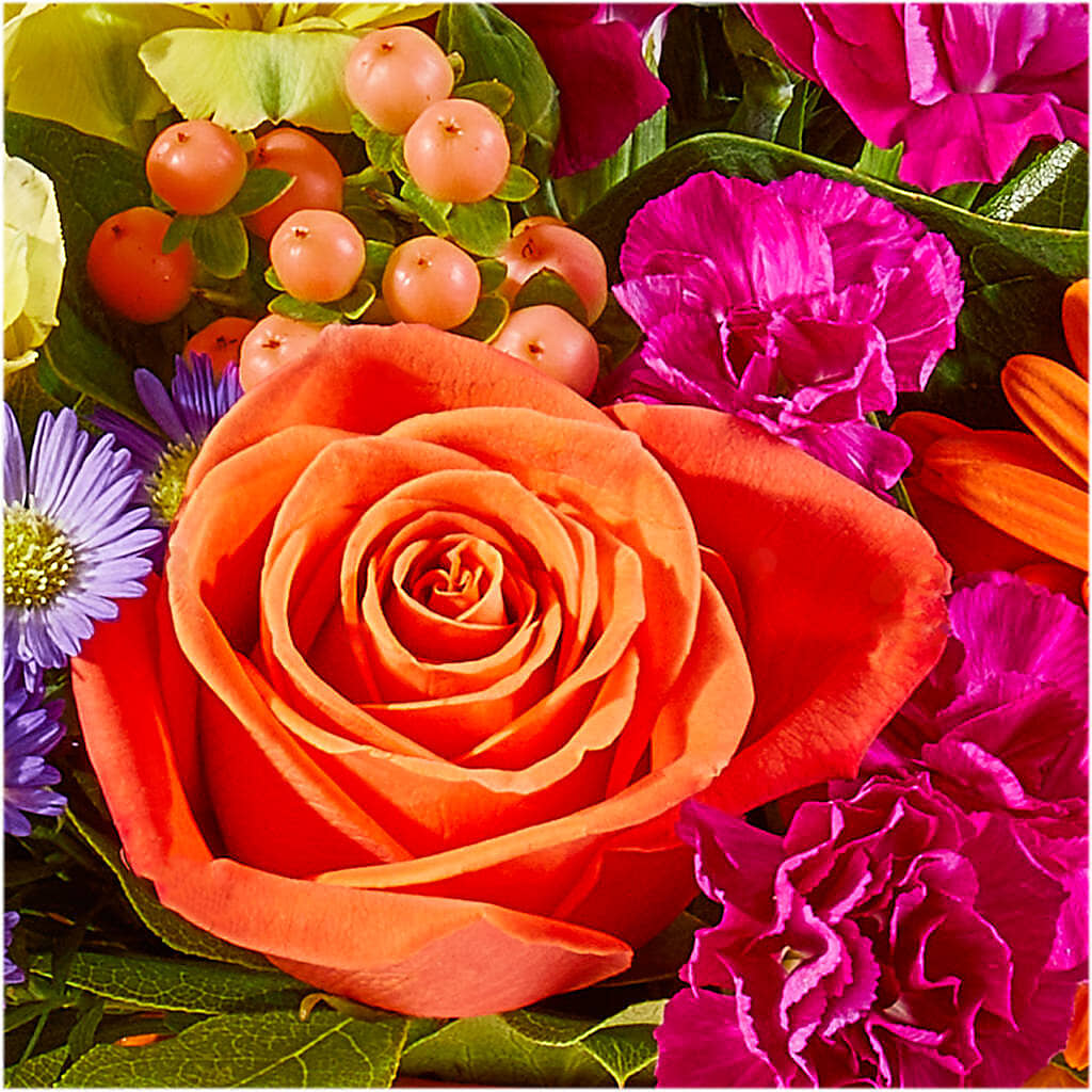 Tricks & Treats Pumpkin –  Temptation Flower Shop, Wichita KS