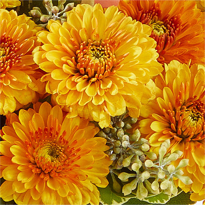 Peachy Pumpkin –  Temptation Flower Shop, Wichita KS
