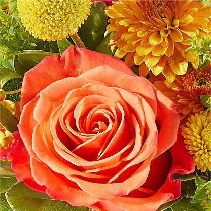 Gourdgeous Pumpkin –  Temptation Flower Shop, Wichita KS