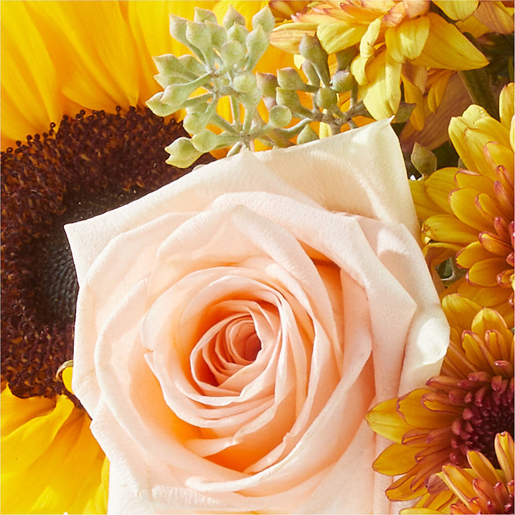 Pumpkin to Talk About Bouquet –  Temptation Flower Shop, Wichita KS