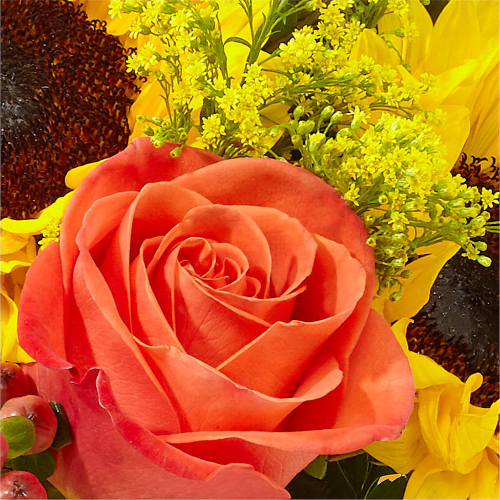 Pick of the Patch Pumpkin Bouquet –  Temptation Flower Shop, Wichita KS