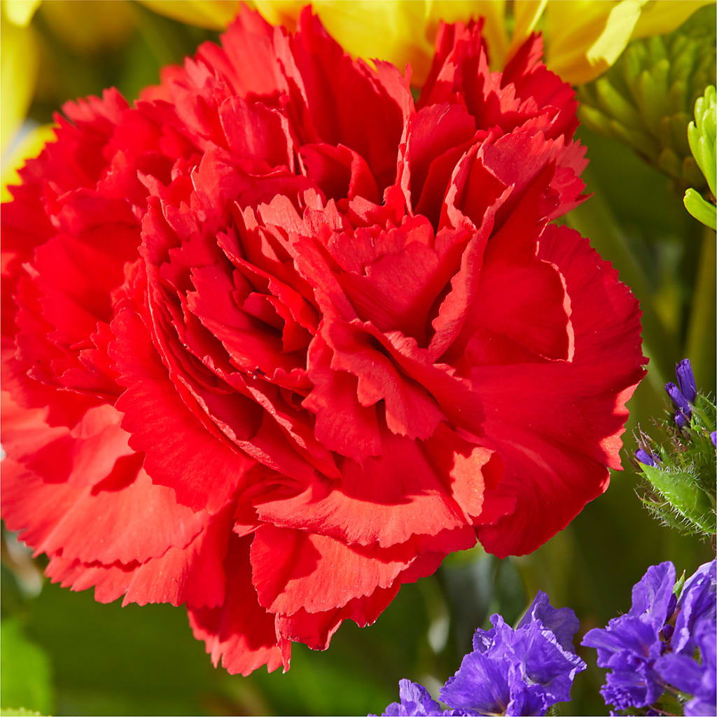 Brighter Days Bouquet –  Temptation Flower Shop, Wichita KS