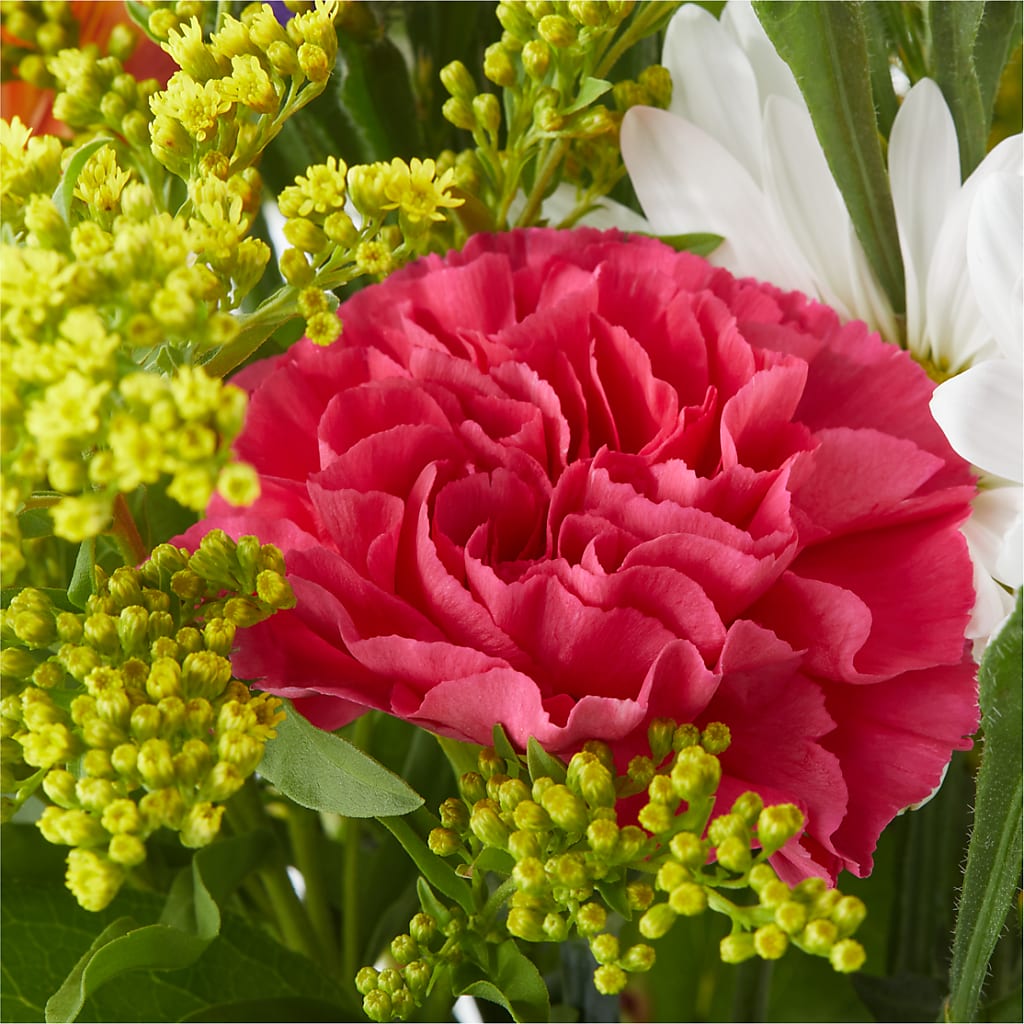 Oopsie Daisy Bouquet –  Temptation Flower Shop, Wichita KS