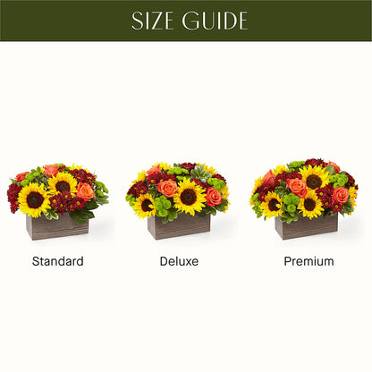 Happy Harvest Garden –  Temptation Flower Shop, Wichita KS