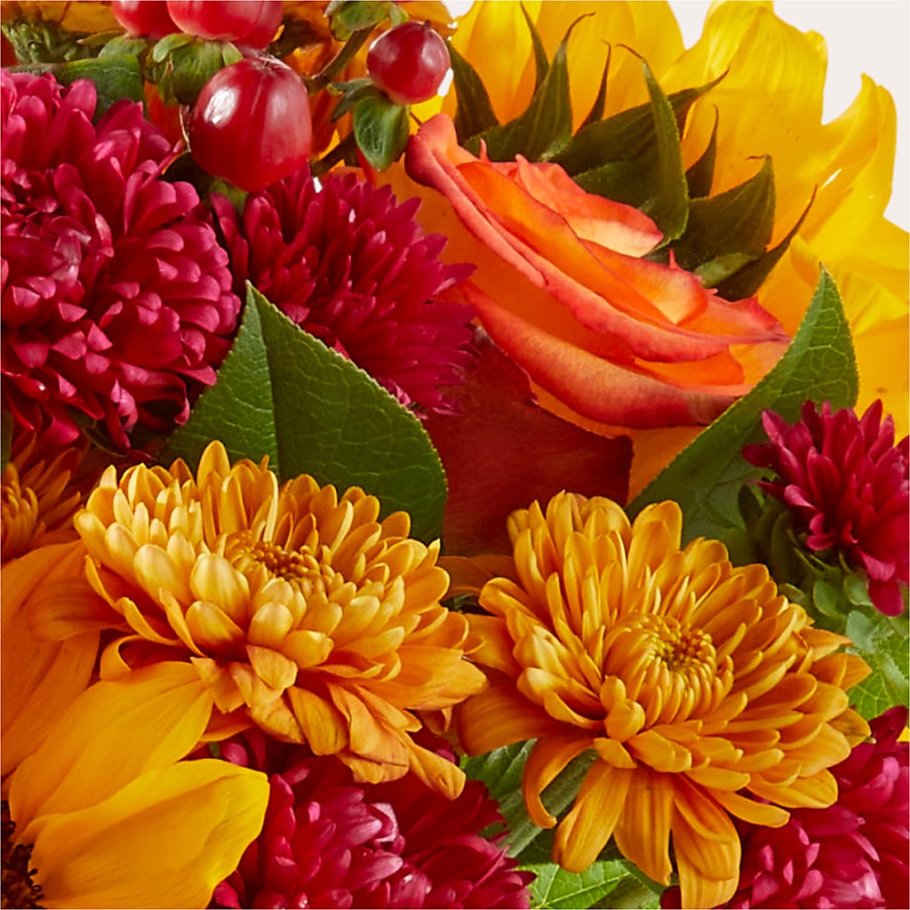 Sweater Season - A Florist Original –  Temptation Flower Shop, Wichita KS