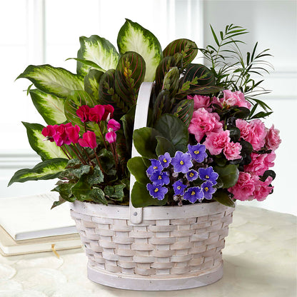 Peaceful Garden Planter –  Temptation Flower Shop, Wichita KS
