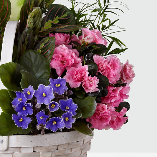 Peaceful Garden Planter –  Temptation Flower Shop, Wichita KS