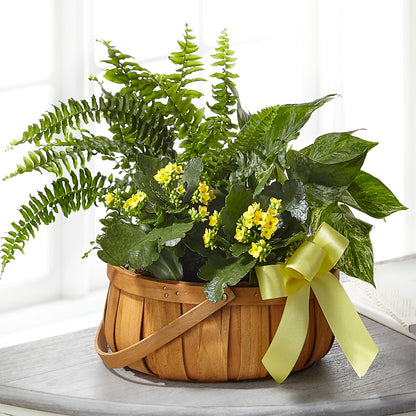 Always Dear Dishgarden –  Temptation Flower Shop, Wichita KS