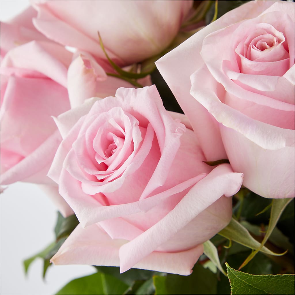 Picture Perfect Pink Rose Bouquet –  Temptation Flower Shop, Wichita KS