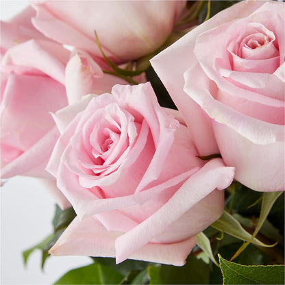 Picture Perfect Pink Rose Bouquet –  Temptation Flower Shop, Wichita KS