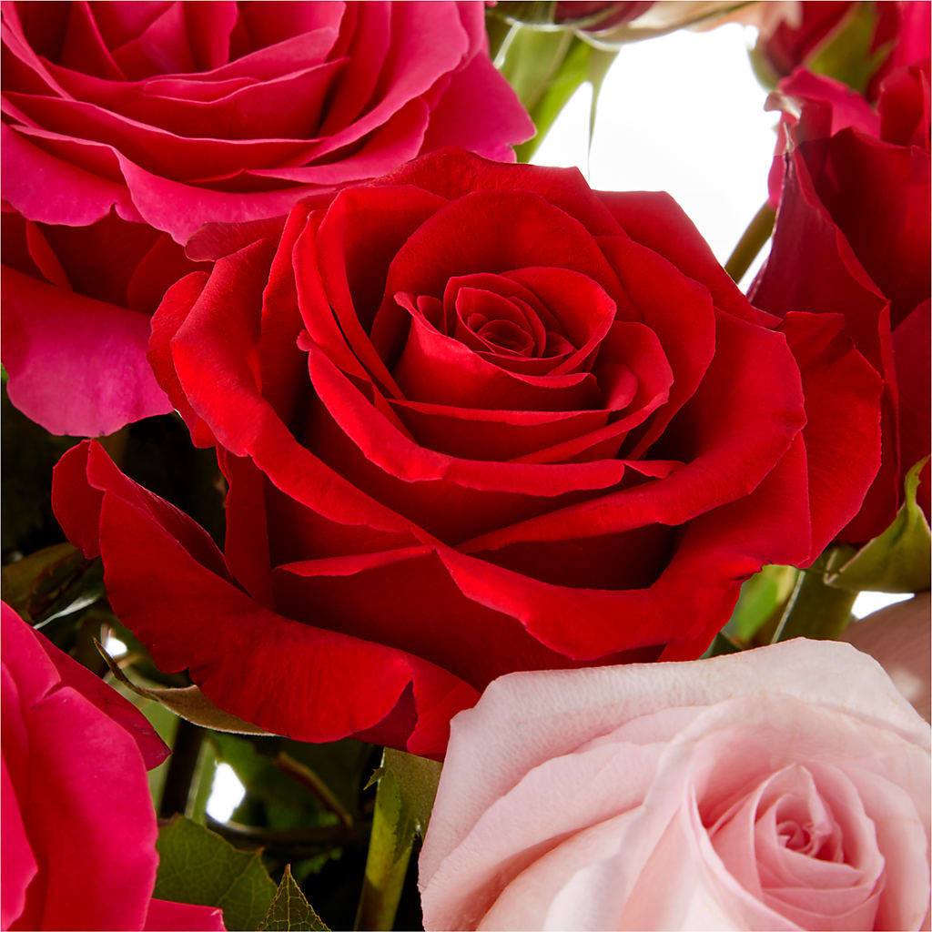 Love Notes Rose Bouquet –  Temptation Flower Shop, Wichita KS