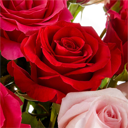 Love Notes Rose Bouquet –  Temptation Flower Shop, Wichita KS