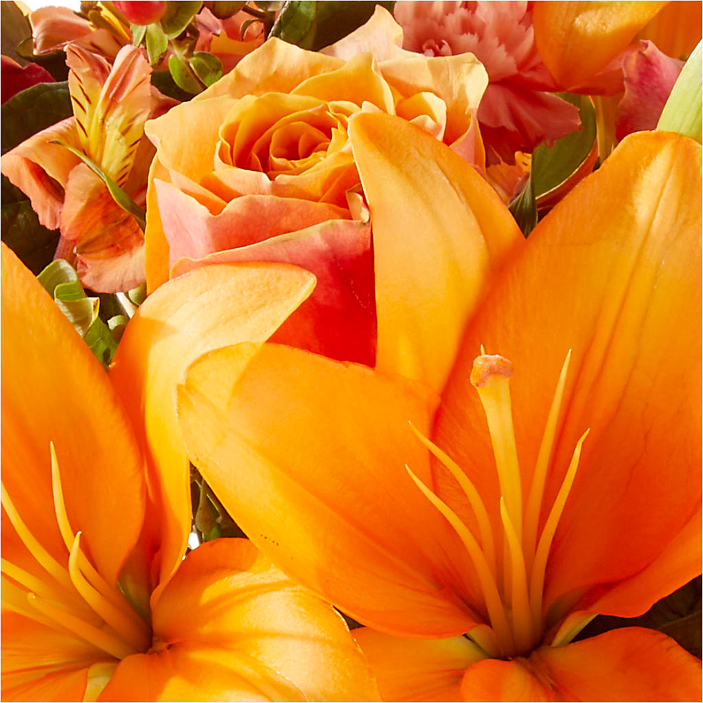 Afternoon Light Bouquet –  Temptation Flower Shop, Wichita KS