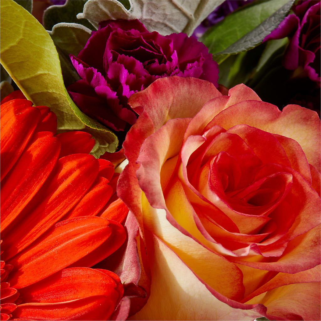 Sangria Bouquet –  Temptation Flower Shop, Wichita KS