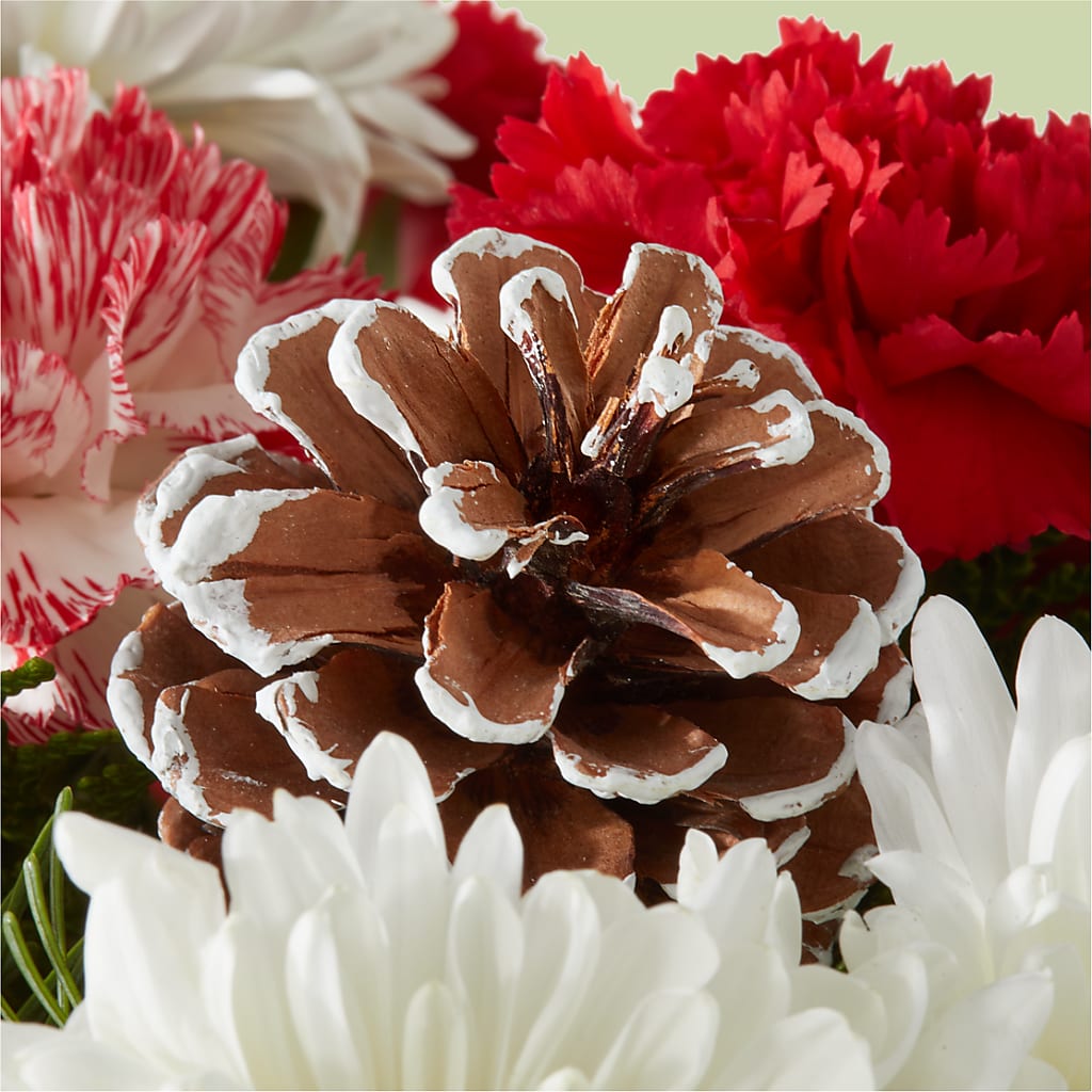 Candy Cane Lane Bouquet –  Temptation Flower Shop, Wichita KS