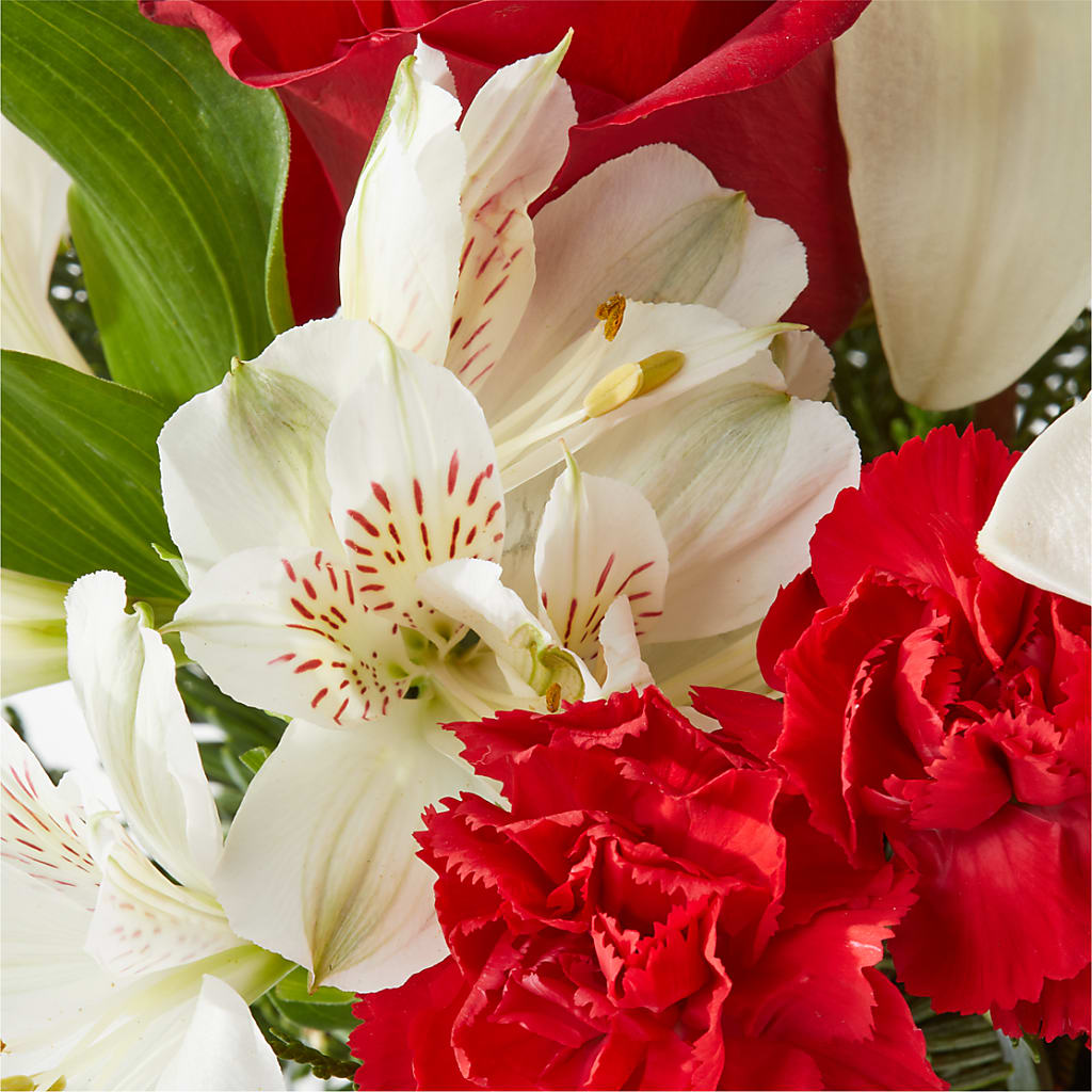Holiday Season Bouquet –  Temptation Flower Shop, Wichita KS