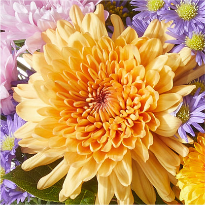 Countryside Bouquet –  Temptation Flower Shop, Wichita KS