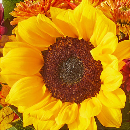 Sunny Side Bouquet –  Temptation Flower Shop, Wichita KS