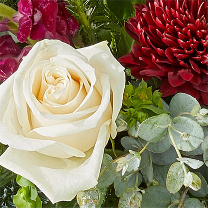 Cranberry Fizz Bouquet –  Temptation Flower Shop, Wichita KS