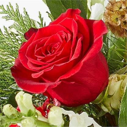 Deck the Halls Bouquet –  Temptation Flower Shop, Wichita KS