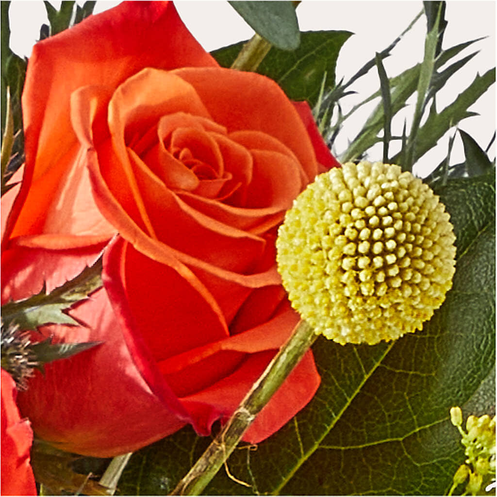 Disco Bouquet –  Temptation Flower Shop, Wichita KS