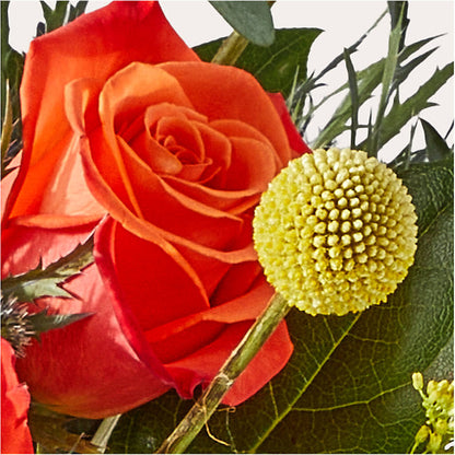 Disco Bouquet –  Temptation Flower Shop, Wichita KS