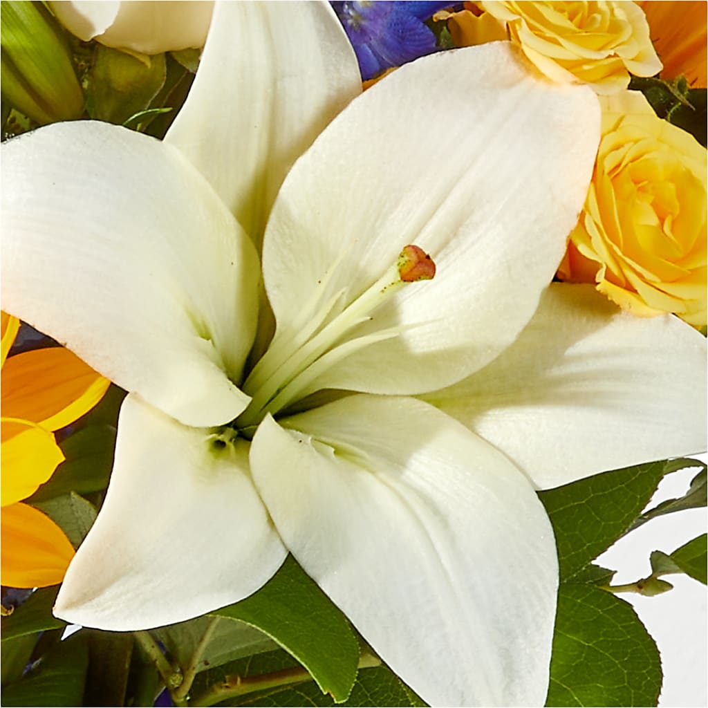 Wonderfully Sunny Bouquet –  Temptation Flower Shop, Wichita KS
