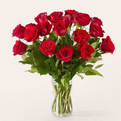 The One Red Rose Bouquet –  Temptation Flower Shop, Wichita KS