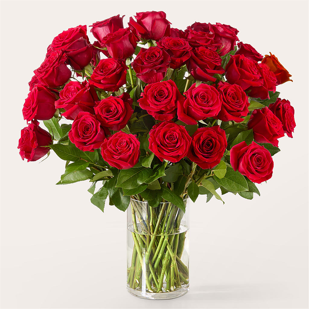 The One Red Rose Bouquet –  Temptation Flower Shop, Wichita KS