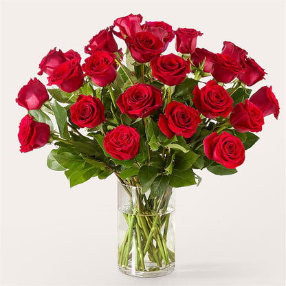 The One Red Rose Bouquet –  Temptation Flower Shop, Wichita KS