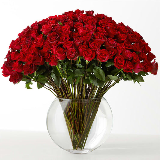 The Idealist –  Temptation Flower Shop, Wichita KS