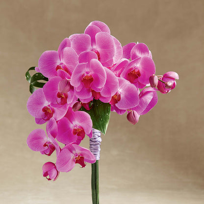 Glorious Bouquet –  Temptation Flower Shop, Wichita KS